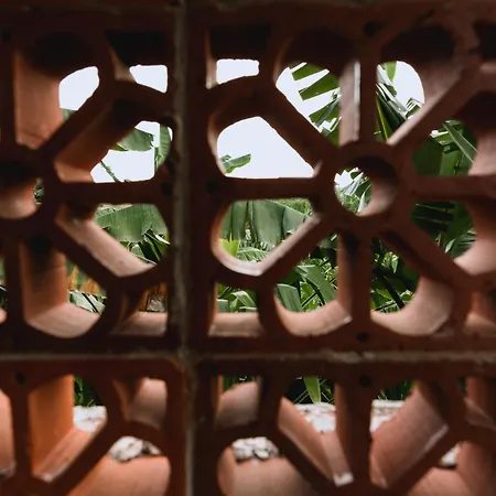 Alunan Villa - Canggu Exterior foto