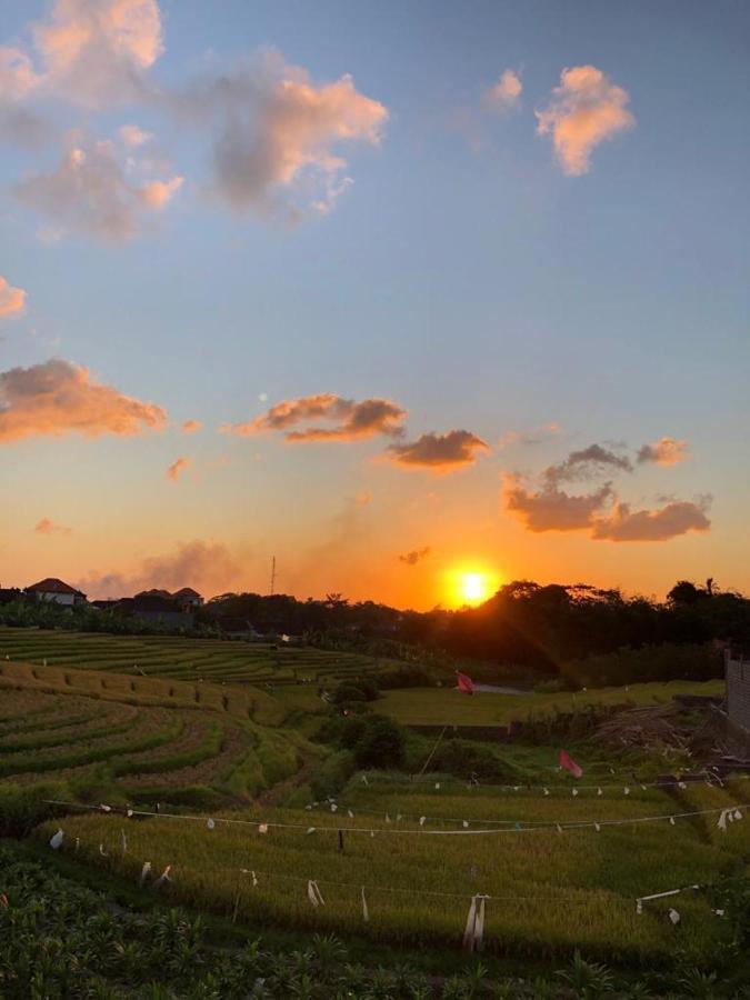 Villa Alunan - *